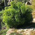 O Refugio Do Mineiro *
