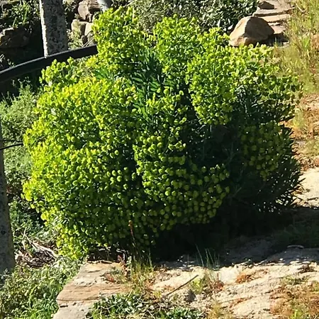 Refugio Do Mineiro *