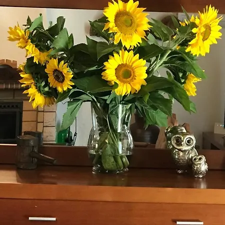 Apartamento O Refugio Do Mineiro