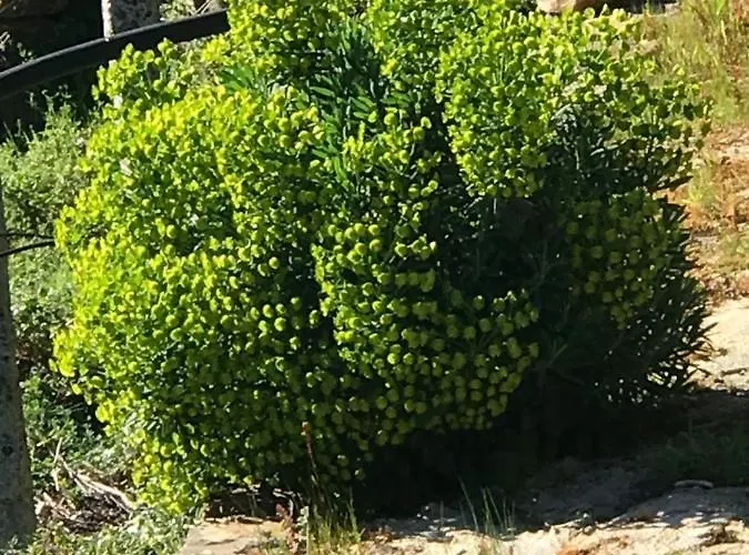 O Refugio Do Mineiro *