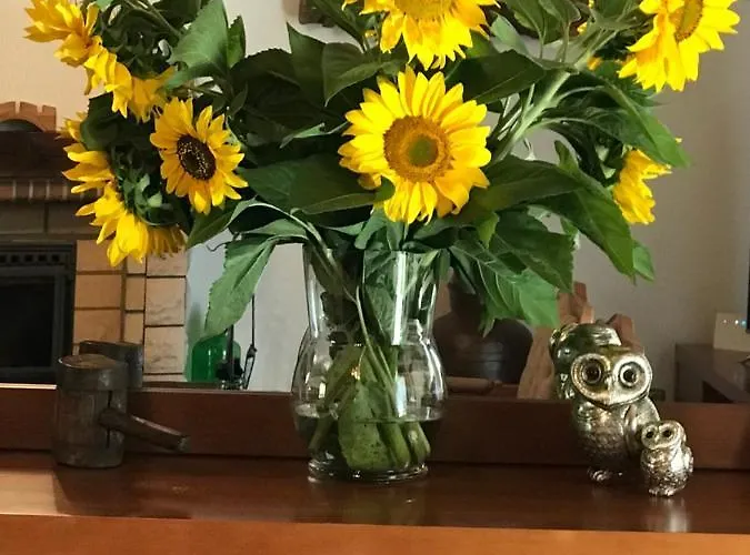 Apartment O Refugio Do Mineiro