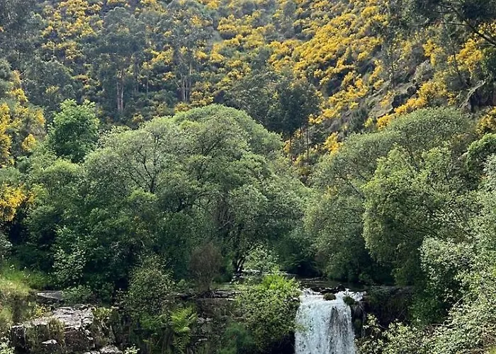 O Refugio Do Mineiro *